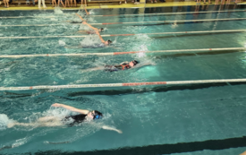 493455975_1406926180730553_7641116139234619121_n