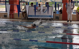 500023235_1428518655237972_6667969851278327837_n