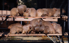 4-01-2026-Inventur-A.D-WEB