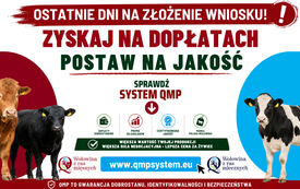 QMP baner close kampania 2026
