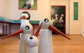 4-15-26-Storchenausstellung_WEB