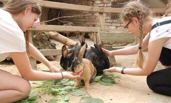 Nowy rabat dla grup szkolnych w Zoo Görlitz