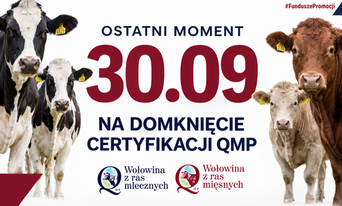 Certyfikat QMP — termin uzyskania upływa 30 września 2026 r.