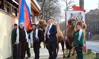Tybetańska flaga ponownie powiewa nad Zoo Görlitz-Zgorzelec
