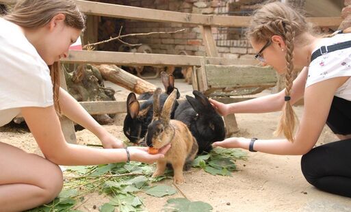 Nowy rabat dla grup szkolnych w Zoo Görlitz
