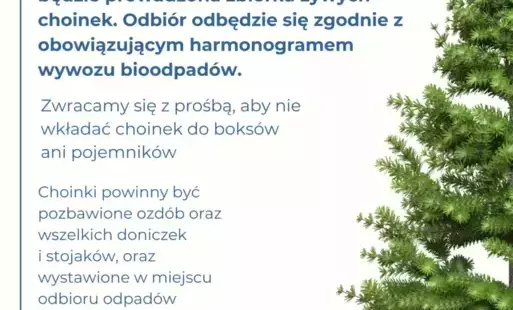 Zdjęcie do ZGiUK: Poświąteczna zbi&oacute;rka choinek