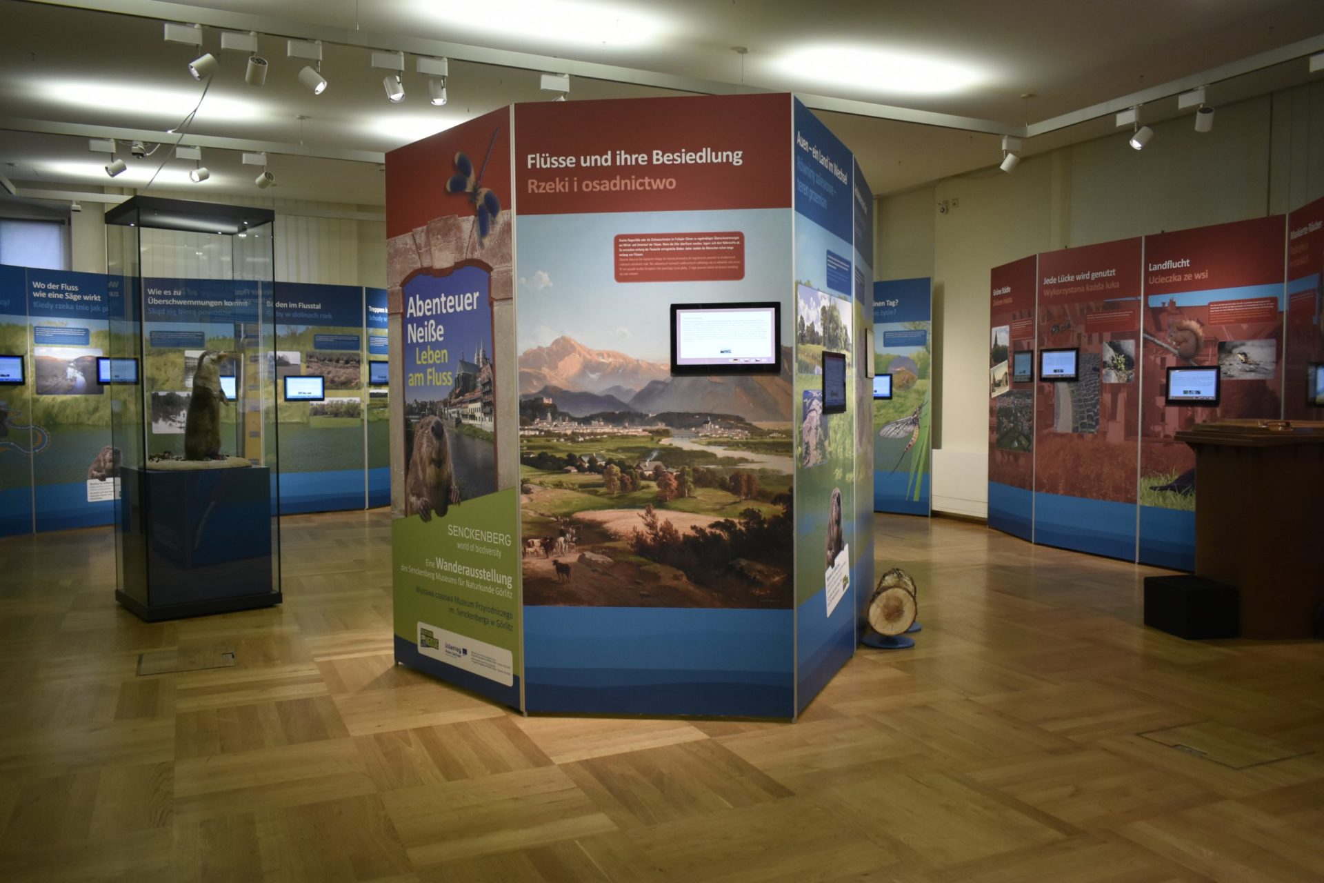 Wystawa „Przygoda z Nysą – Życie nad rzeką” w Muzeum Przyrodniczym