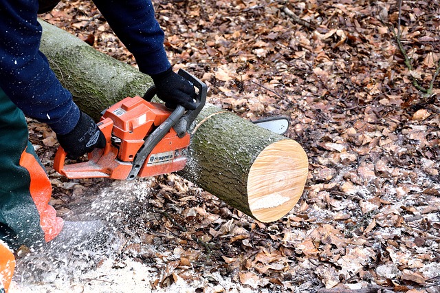 Bezpieczne pozyskiwanie i przetwarzanie drewna na potrzeby gospodarstwa rolnego